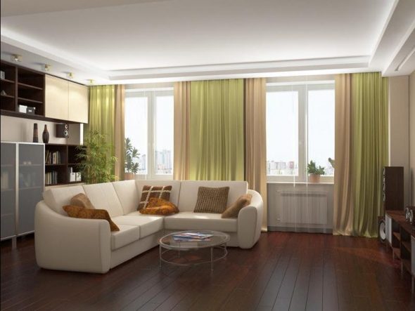 Bedroom living room design