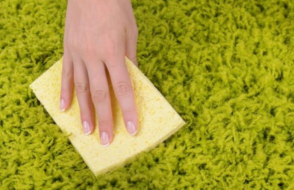 paglilinis ng citric acid na karpet