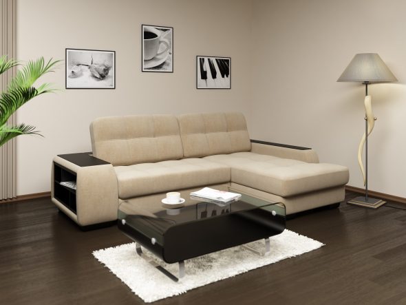 sofa in the interior of the apartment