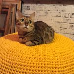 pouf knitted orange