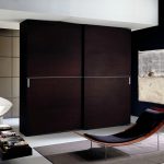 The design of the wardrobe in the living room