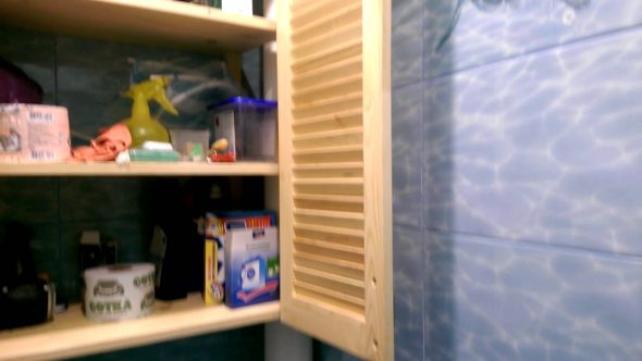 Cabinet with shelves in the toilet