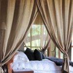 canopy bed photo