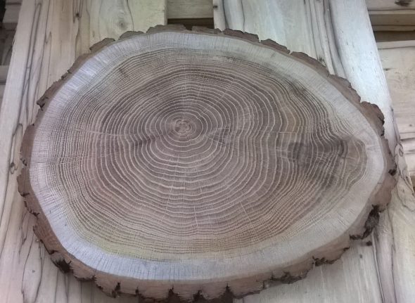 klippa trä för bord
