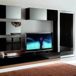 Black glossy living room photo