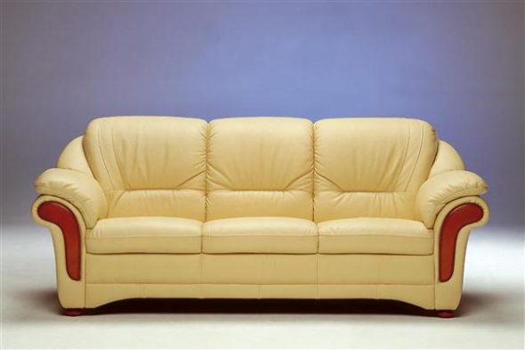 Clean leather sofa