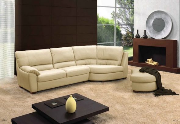 remove the smell of new leather furniture