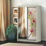 Sliding wardrobe of the 2nd folding Orchid