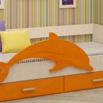 orange bed dolphin
