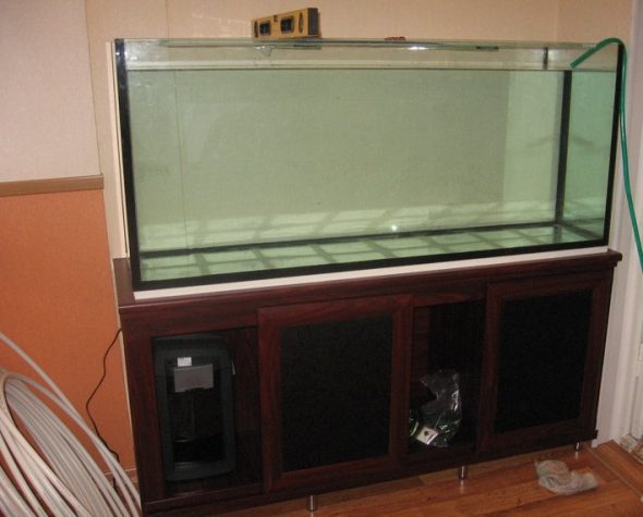 pedestal aquarium