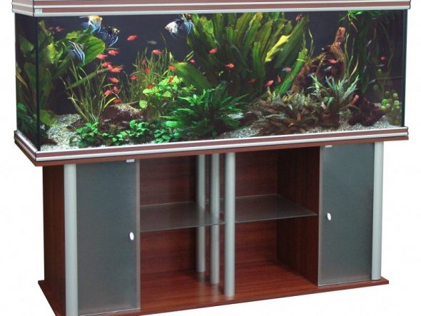 the choice of design cabinets under the aquarium