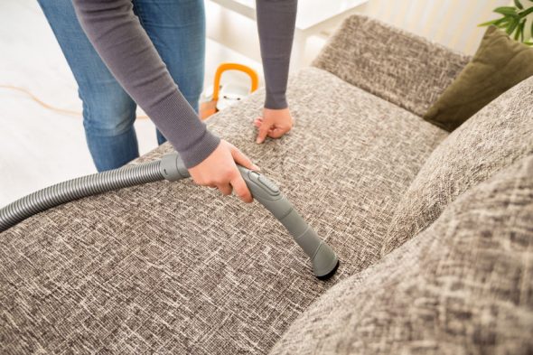 Cleaning the sofa at home - images
