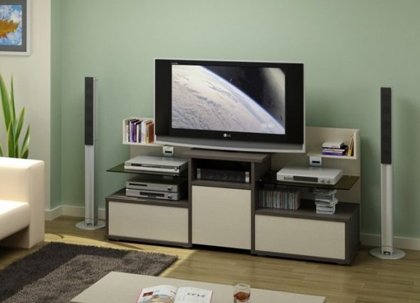Long stand for a large screen TV