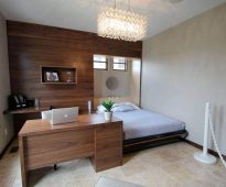 Wall recessed bed