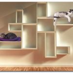 Shelves for cats on the wall