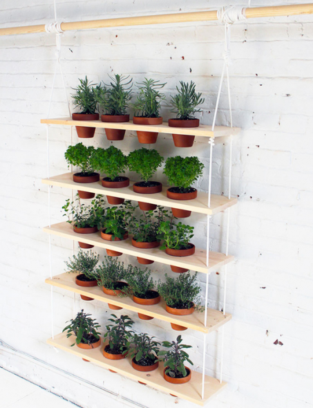 Vertical shelf for flowers