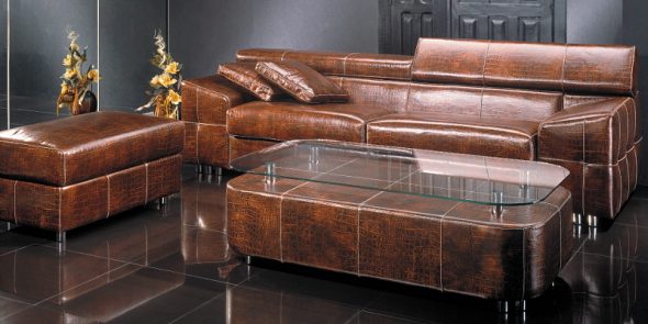 furniture leather coral