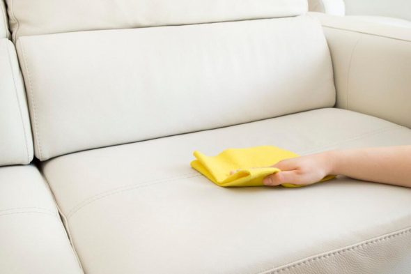 dbałość o skórzane meble - lekka sofa