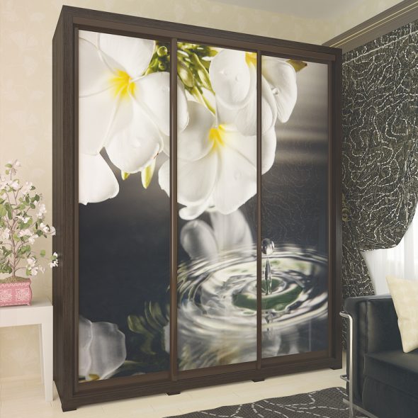 Szafa Domino, stylowy wygląd standardowej szafy
