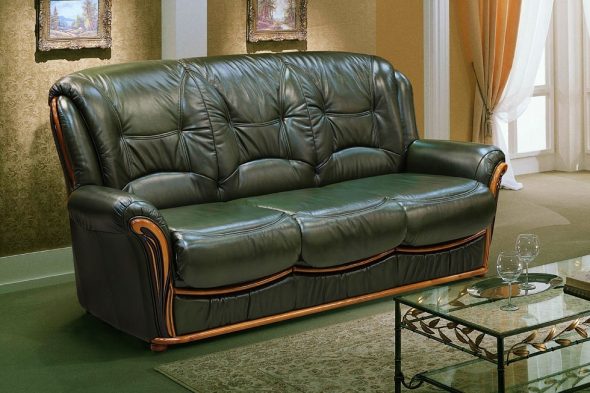 classic upholstery for the sofa - leather