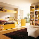 Bright sunny room with bookcases