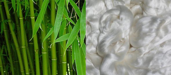 Bamboo fiber