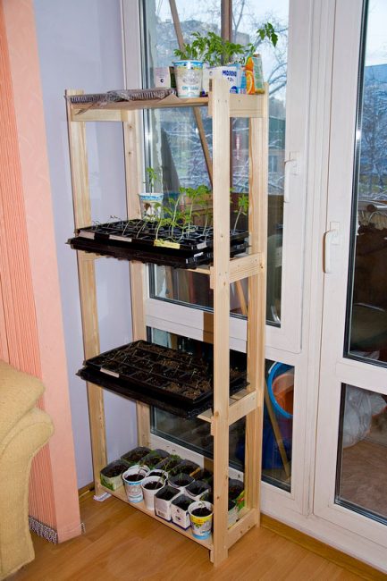 rack for seedlings of wood