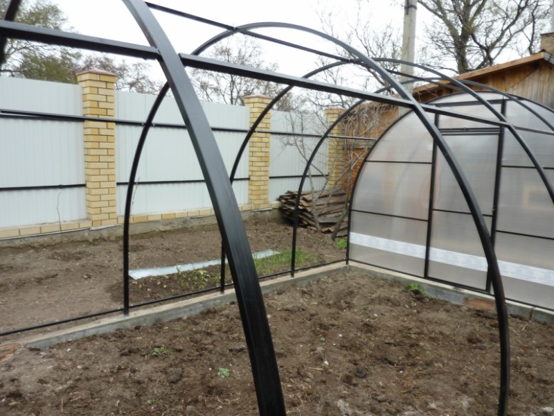 profile greenhouse