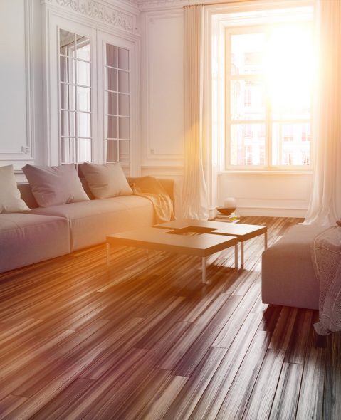 Svjetlo, čistoća i udobnost u kući