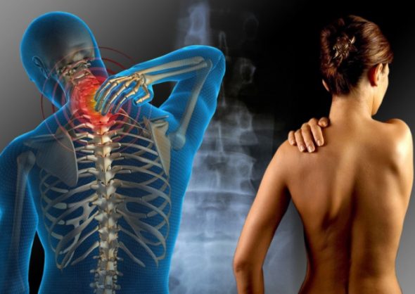 Nuga Paras hieronta vuodepaikkaa on luotu selkäongelmien hoitoon.