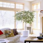 Feng shui úhly v obývacím pokoji je lepší nenechávat prázdné, mohou ubytovat rostliny