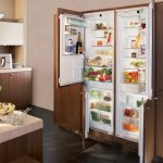 Ang dalawang refrigerator ay nakatago mula sa pagtingin at bahagi ng interior.