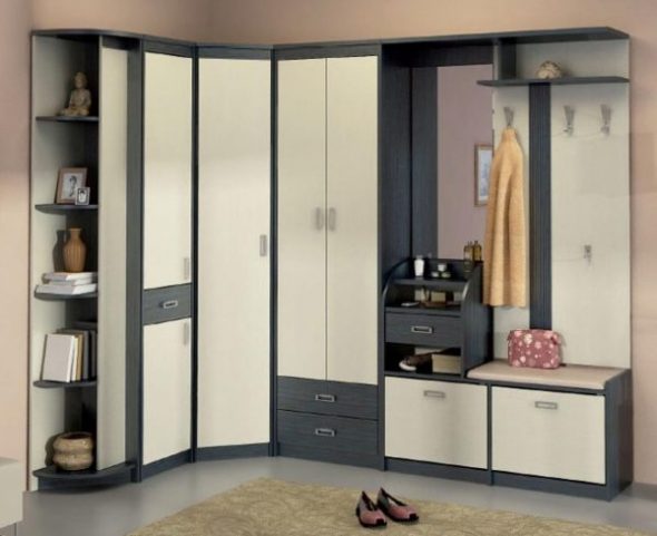 The wardrobe can accommodate a wide variety of things and objects.