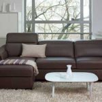 Stylish sofa for the living-dining room