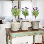 A table under the flowers in the living room in the style of Provence