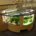 Aquarium sa ilalim ng talahanayan - naka-istilong at orihinal