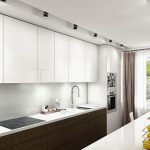Minimalistic kitchen for lovers of perfect order