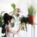 Suspended shelf for indoor plants