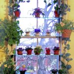 Shelves on the windowsill for flowering plants