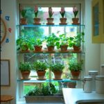 U jedan prozor stavljamo mnogo sobnih biljaka