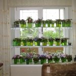 Glass flower shelves