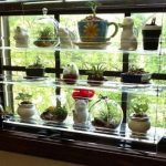 Glass shelving with sides for cacti