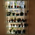 Rack for flowers with glass shelves