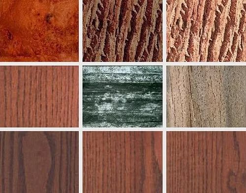 Wood of various species