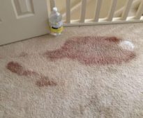 Remove blood from the carpet