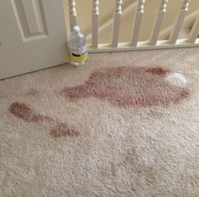 Remove blood from the carpet