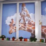 Dwie żyrafy na zasłonach w przedszkolu
