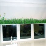 Vihreä ruoho avotyyppisissä ikkunaluukoissa