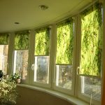 Camlı sundurma penceresinde yeşil panjurlar