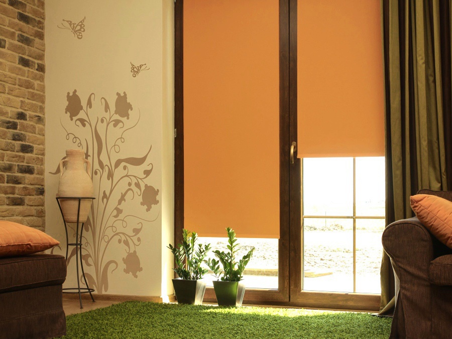 Design of living room with roller blinds